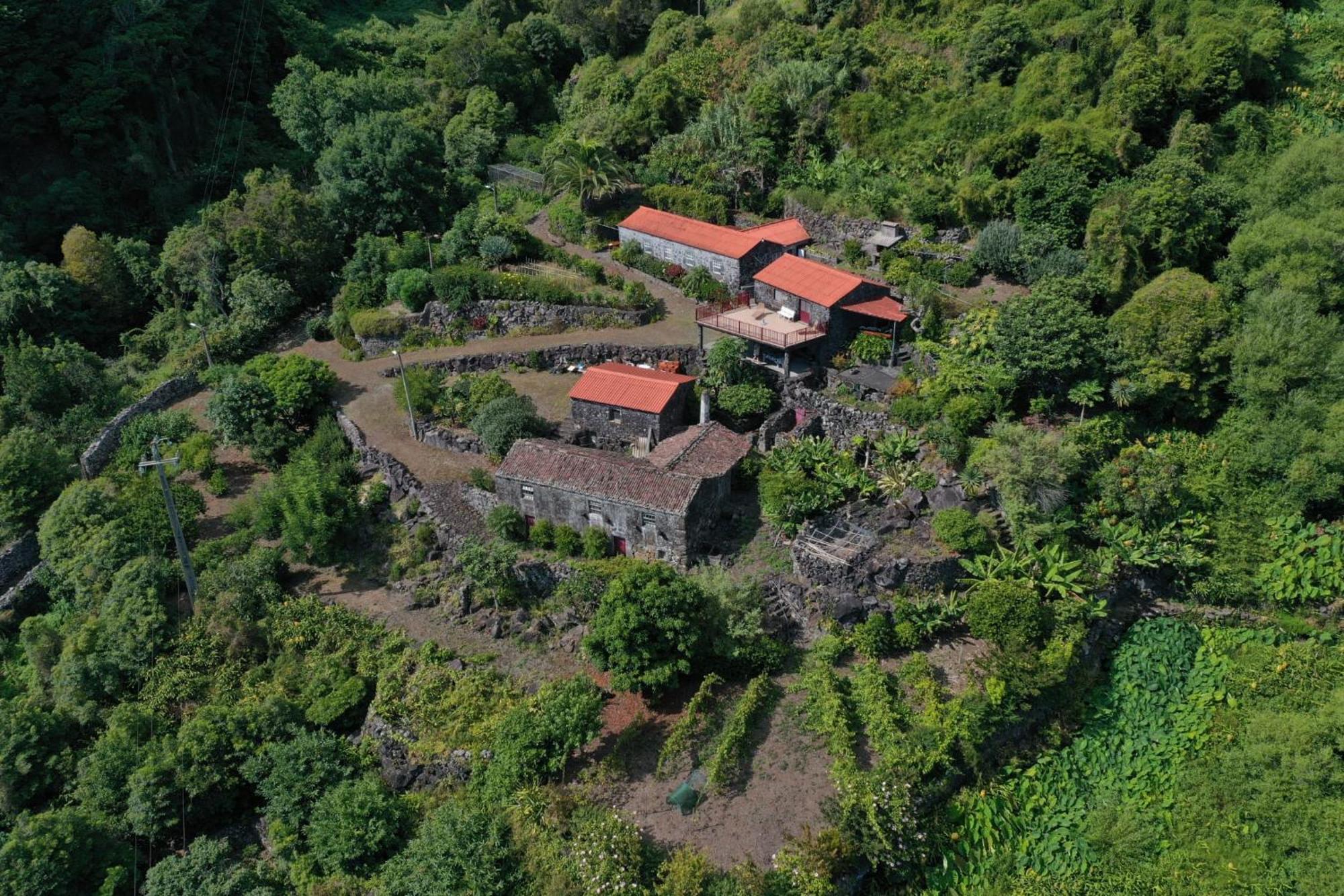 Vistalinda Farmhouse Faja dos Vimes Exterior photo